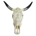 Exquisitely-Carved-Cow-Skull-Polished-Horns-62cm_SCC