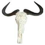 Intricately-Carved-Wildebeest-Skull-With-Pattern-60cm_SBWC