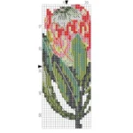 Just Love Pink Protea Glasses Case 7 x 17cm