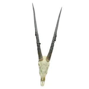 Carved-Oryx-Gemsbok-Skull-White-And-Brown-119cm_SOC