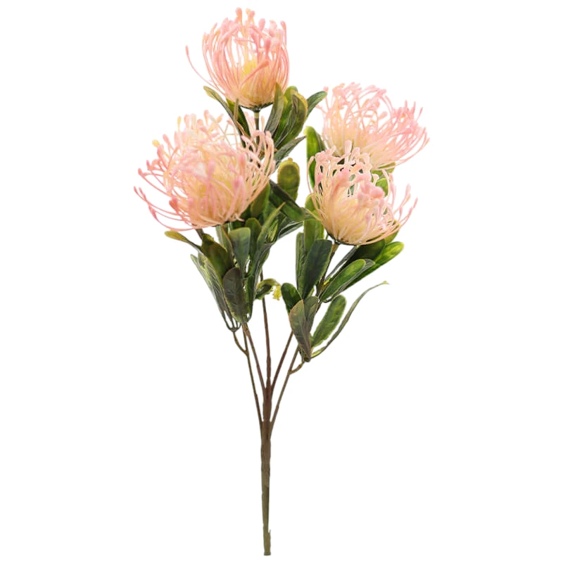 Pink Pin Cushion Bunch Protea | 39cm