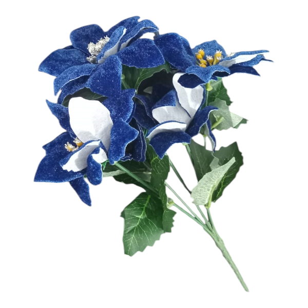 Blue 5 Flower Poinsettia Bush 30cm