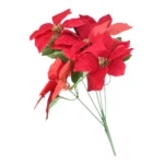 Red 5 Flower Poinsettia Bush | 48x20cm