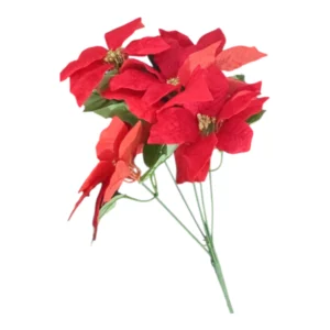 Red 5 Flower Poinsettia Bush | 48x20cm