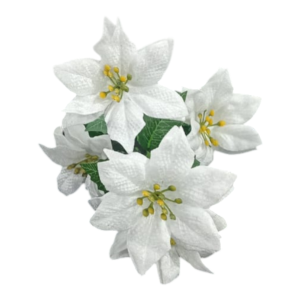 White 5 Flower Poinsettia Bush 33x12cm