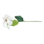 White Tall Poinsettia Bush | 67x22cm