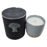 Mockana-Artisanal-Scented-Candle-Lemongrass-454g_fmc611