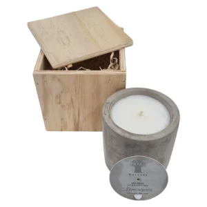 Mockana-Scented-Candle-Cement-Vessel-Lemongrass_FMC415.