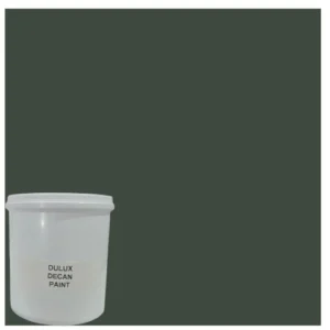Dulux-Roofguard_HeritageGreenColorSwatchAnd1Ltin_AtHabitatPotch
