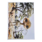 Creative Talents Deco Print Paper - Ostrich 2, A4_AtHabitatPotch