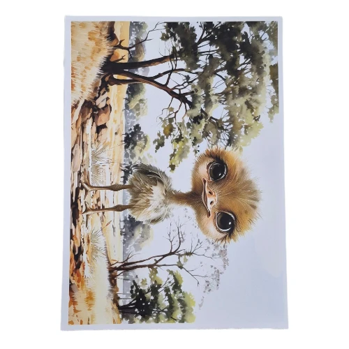 Creative Talents Deco Print Paper - Ostrich 2, A4_AtHabitatPotch
