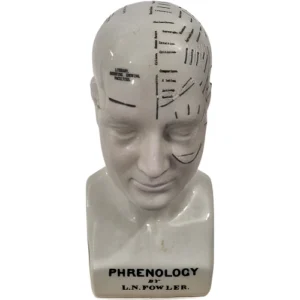 Ceramic-Phrenology-Head-Bust-Height-26cm_AtHabitatPotch