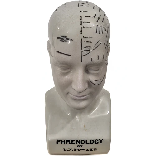 Ceramic-Phrenology-Head-Bust-Height-26cm_AtHabitatPotch