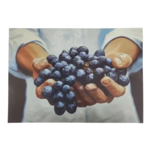 Disposable-Placemat-Holding-Grapes-24-Piece-placeml341