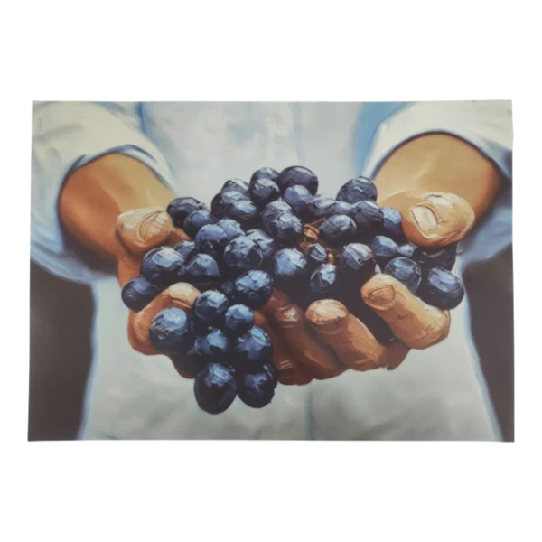 Disposable-Placemat-Holding-Grapes-24-Piece-placeml341