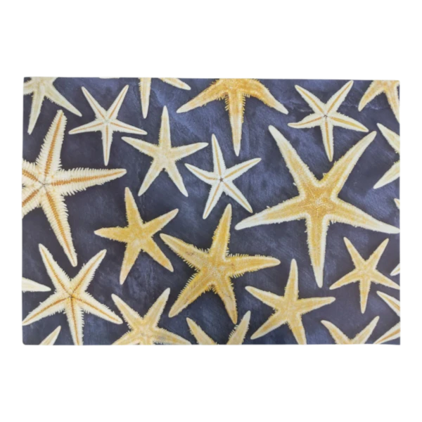 Disposable Placemat | Starfish, 24 Piece