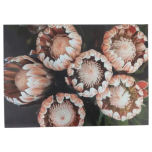 Disposable Placemats | King Protea Buds, 24 Piece