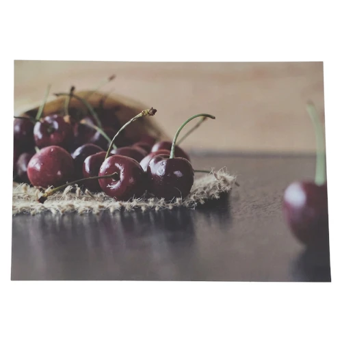 HABiTAT-Square-Disposable-Paper-Placemats-24-Pc-Cherry_AtHabitatPotch
