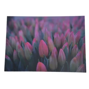 HABiTAT-Square-Disposable-Paper-Placemats-24-Pc-Pink-Flowers_AtHabitatPotch